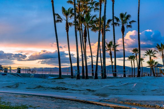 Sunset over a beach with palm trees silhouetted against the colorful sky.